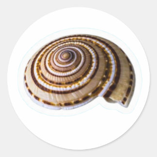 Sticker Rond Exotic Tropical Sea Shells - Coastal Nature Collec