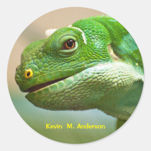 Sticker Rond Face de reptile vert rapprochée