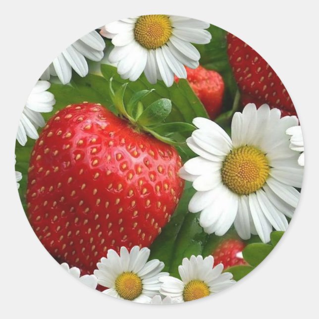 Sticker Rond Faisceaux et fraises (Devant)