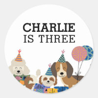 Faisons la Fête du Chien Anniversaire de Chiot