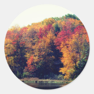 Sticker Rond Fall Folift Pond Nature