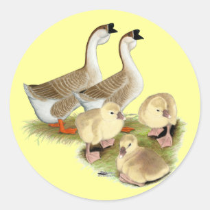 Sticker Rond Famille d'oies africaines