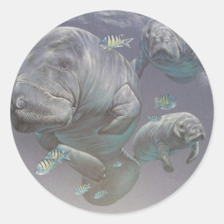 Sticker Rond Famille Manatee