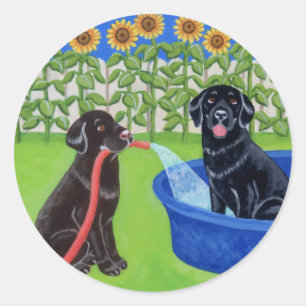 Sticker Rond Fantastique Pool Party Labradors