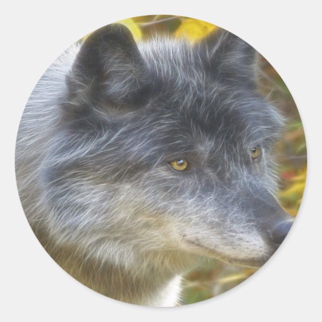Sticker Rond Faune Loup gris conception animal amoureux (Devant)