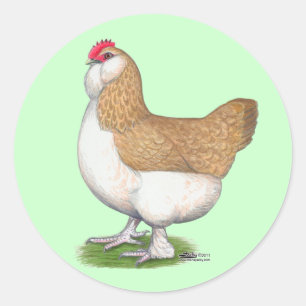 Sticker Rond Faverolle Hen