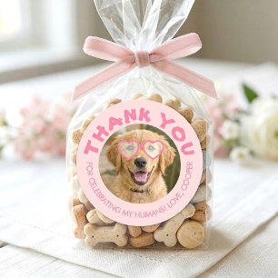 Sticker Rond Faveurs de fête friandises pour chien Photo de chi