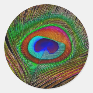 Sticker Rond Feather Vibrant Copper