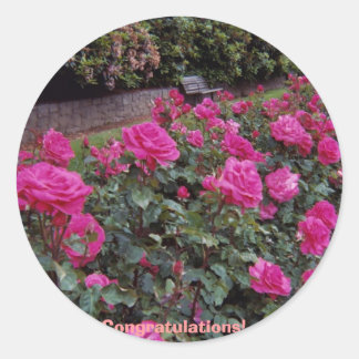 Sticker Rond Félicitation !