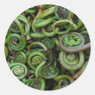 Sticker Rond Fermes de Fiddlehead