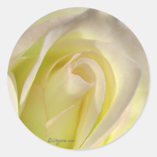 Sticker Rond Fermeture de l'enveloppe du Rose blanc désactivée