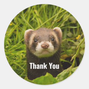 Sticker Rond Ferret Brown dans le Merci d'herbe