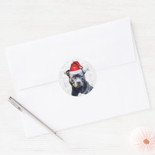 Sticker Rond Festive Bluenose Pitbull Woof Word Art Noël