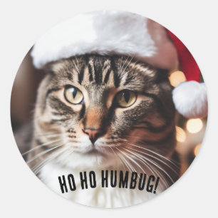 Sticker Rond Festive Tabby