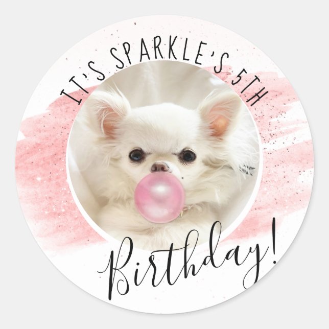 Sticker Rond Fête d'anniversaire du chien mignon | Étincelle Le (Devant)