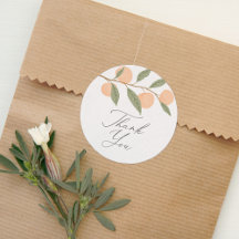 Fête d'anniversaire Peach