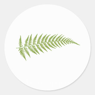 Sticker Rond Feuille australienne pressée de fougère -