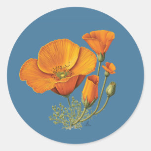 Sticker Rond Feuille d'autocollant Vintage de la fleur de pavot