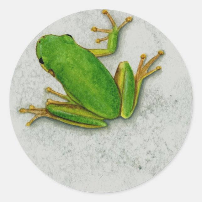 Sticker Rond Feuille d'autocollants grenouille verte (Devant)