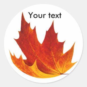 Sticker Rond Feuille d'érable rouge