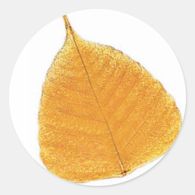 Sticker Rond Feuille d'or de la Forêt magique (Devant)