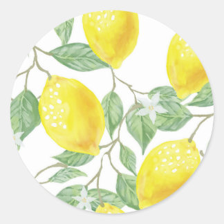 Sticker Rond feuille-vert-jaune-citron-fruit