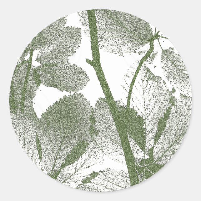 STICKER ROND FEUILLES ARBRES (Devant)