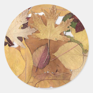 Sticker Rond Feuilles d'automne