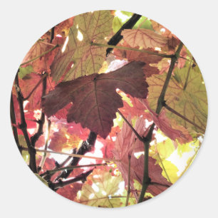 STICKER ROND FEUILLES D'AUTOMNE