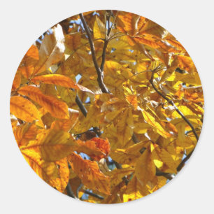 Sticker Rond Feuilles d'automne Cadeaux dorés Vêtements Article