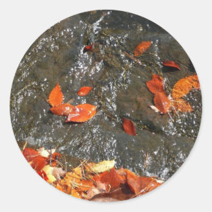 Sticker Rond Feuilles d'automne dans la cascade I Photographie 