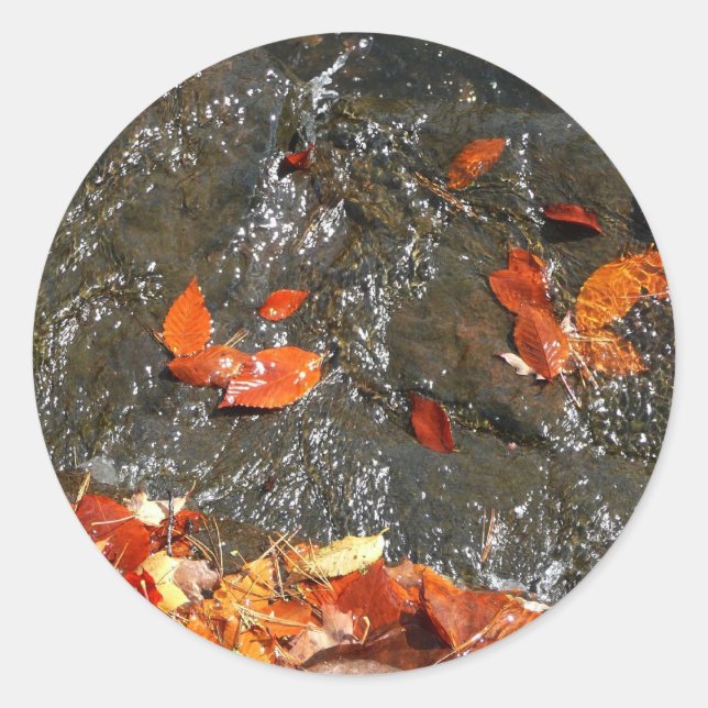 Sticker Rond Feuilles d'automne dans la cascade I Photographie  (Devant)