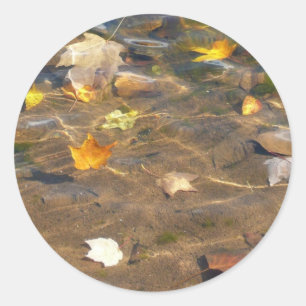 Sticker Rond Feuilles d'automne dans l'étang de l'eau Photograp