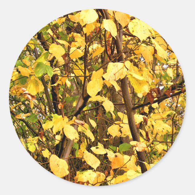 STICKER ROND FEUILLES D'AUTOMNE JAUNE (Devant)