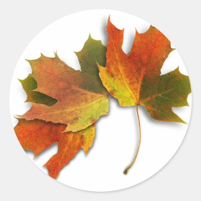 Sticker Rond Feuilles D'Automne Orange Et Doré (Devant)