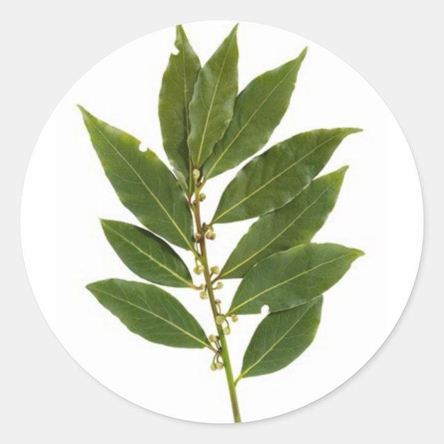 Sticker Rond Feuilles de baie (Devant)
