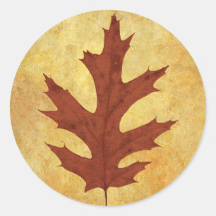 Sticker Rond Feuilles de chêne rouge d'automne