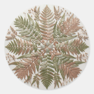 Sticker Rond Feuilles de fougère botanique vert cuivre pressées