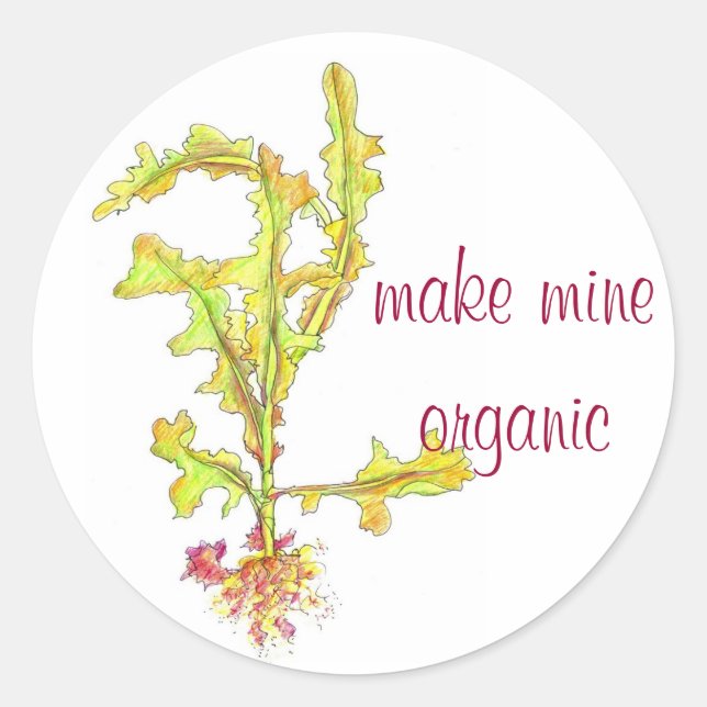 Sticker Rond Feuilles de laitue sauvage Dessin de légumes bio (Devant)
