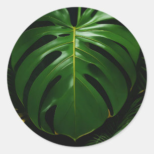 Sticker Rond Feuilles de Monstera Or Jungle Glamour