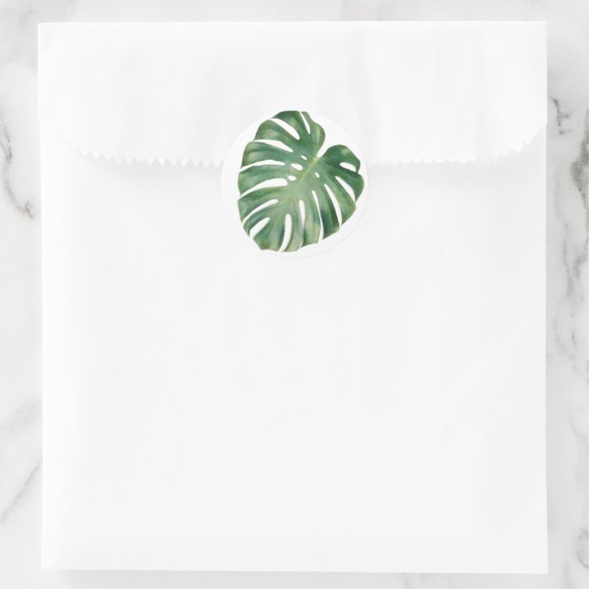 Sticker Rond Feuilles Monstera (Sac)