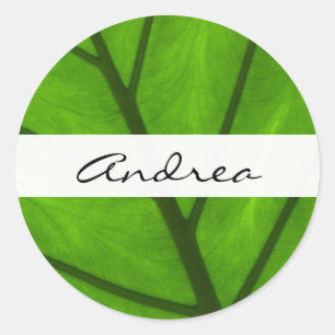 Sticker Rond Feuilles verts, Arrière - plan feuille, feuille, v