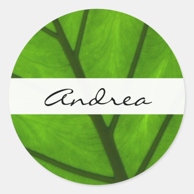 Sticker Rond Feuilles verts, Arrière - plan feuille, feuille, v (Devant)