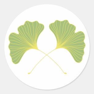 Sticker Rond Feuilles verts de printemps de l'arbre Ginkgo
