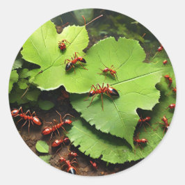 Sticker Rond Fils rouges