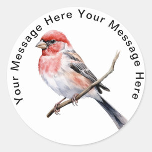 Sticker Rond Finch