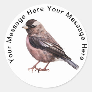 Sticker Rond Finch Rosy noir