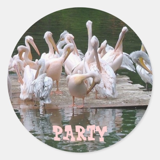 Sticker Rond Flamant rose (Devant)