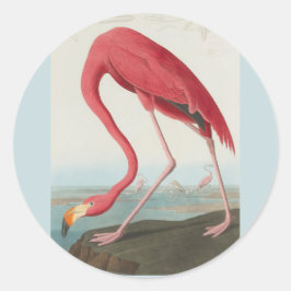 Sticker Rond Flamant rose américain par John James Audubon 1838