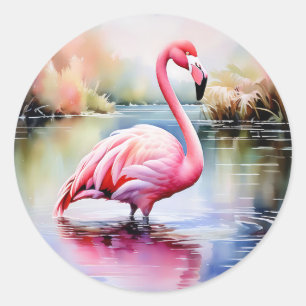 Sticker Rond Flamant rose dans l'eau